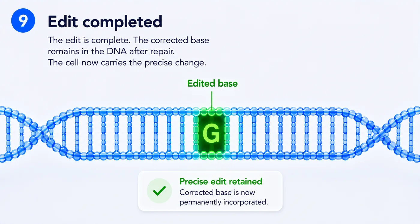 Step 09: Edit completed